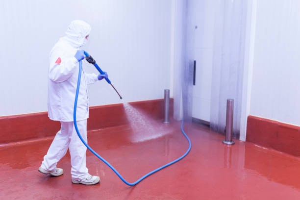 Best Rust Removal  in Haleiwa, HI